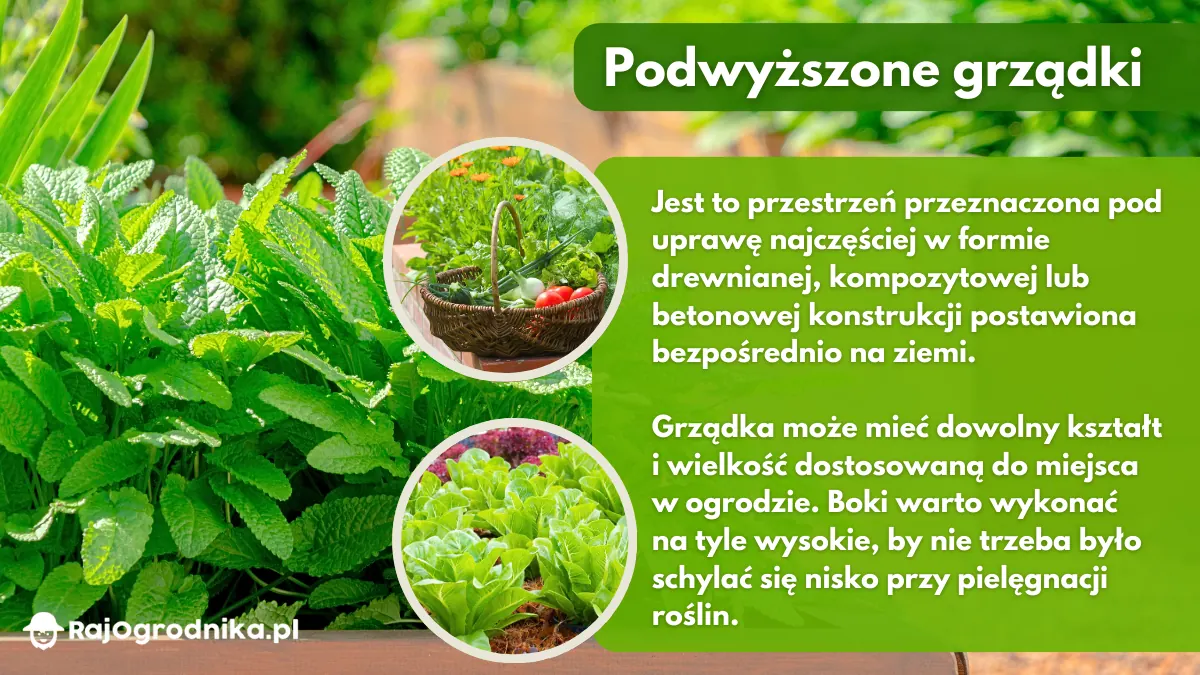 podwyższone-grządki-warzywne-sklep-rajogrodnika